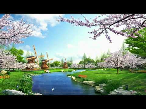 Beautiful Natural Garden Background Video, Beautiful Landscape Free natural video