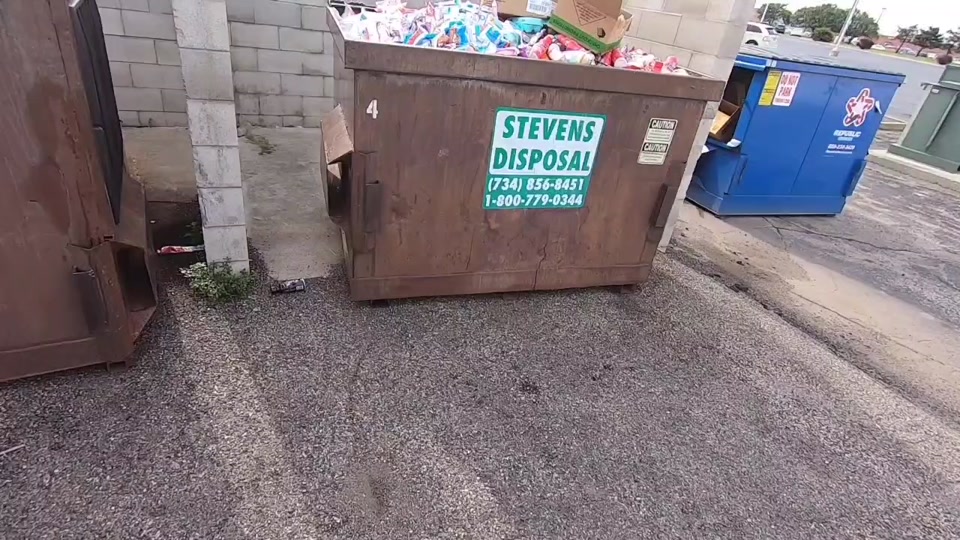Dollar trees dumpster was packed! #dumpsterdiving #fyp #foryou #free #waste…