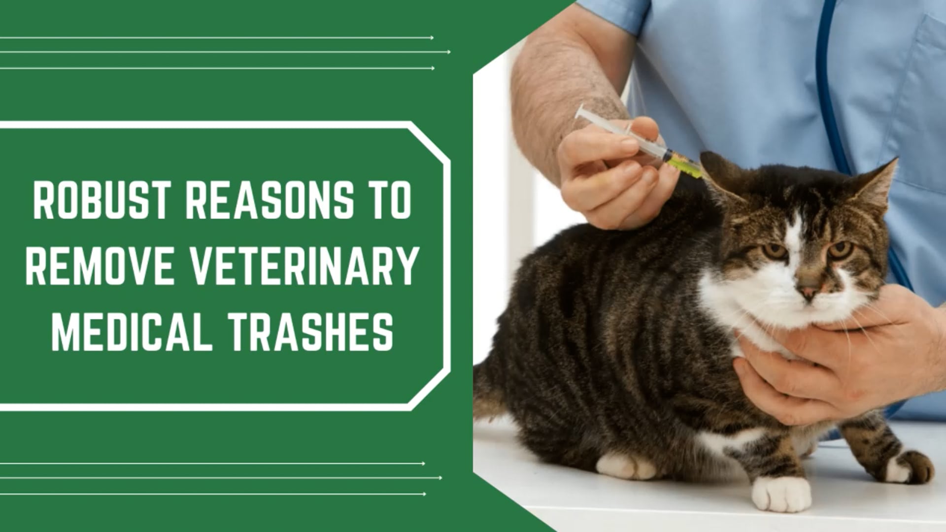 Veterinary Medical Waste Disposal-medical waste