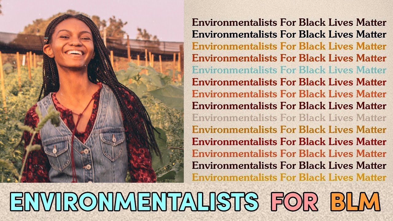 How Black Lives Matter And Environmental Justice Are Connected-environmental