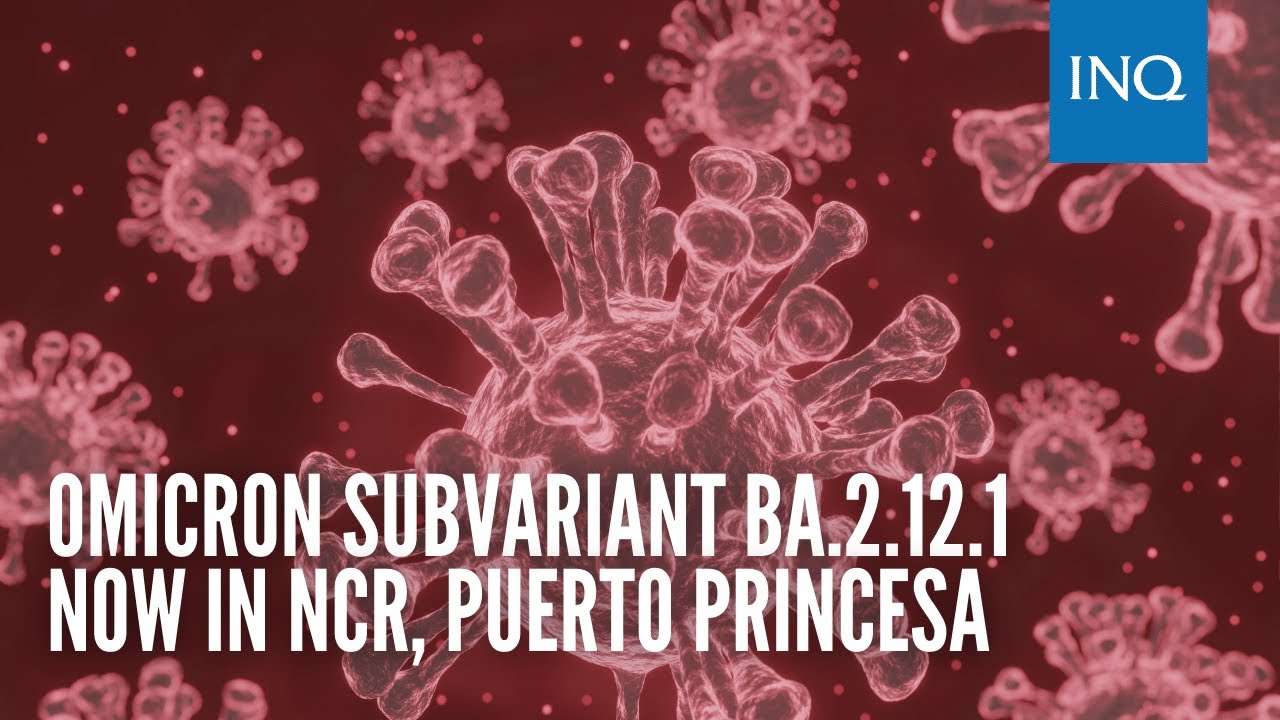 Omicron subvariant BA.2.12.1 now in NCR, Puerto Princesa-Omicron variant