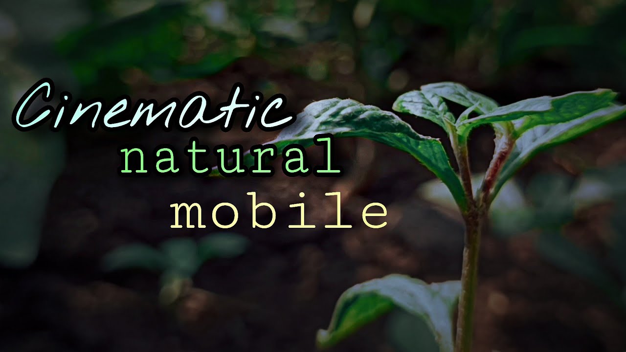 Cinematic Natural Video Xiaomi 11i @Ankit Bhatia natural video