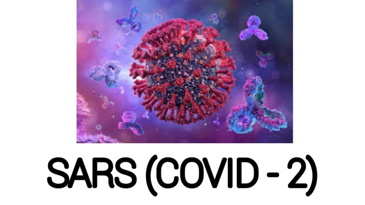 SARS-CoV-2 (the virus that causes COVID-19)-SARS-CoV-2
